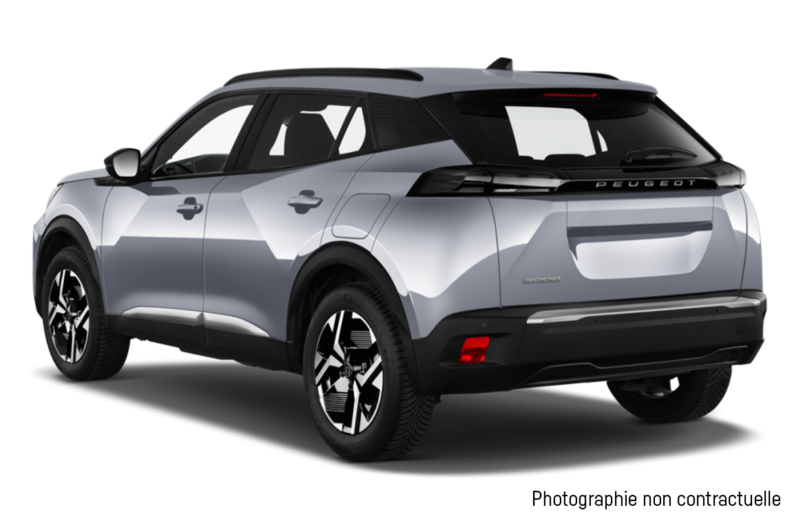 P2008janvtrans 02 Widebis