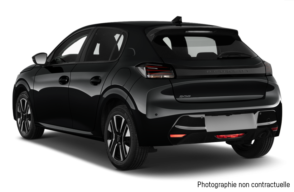 P208janvtrans 02 Wide