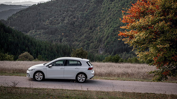 Leasing Golf 8